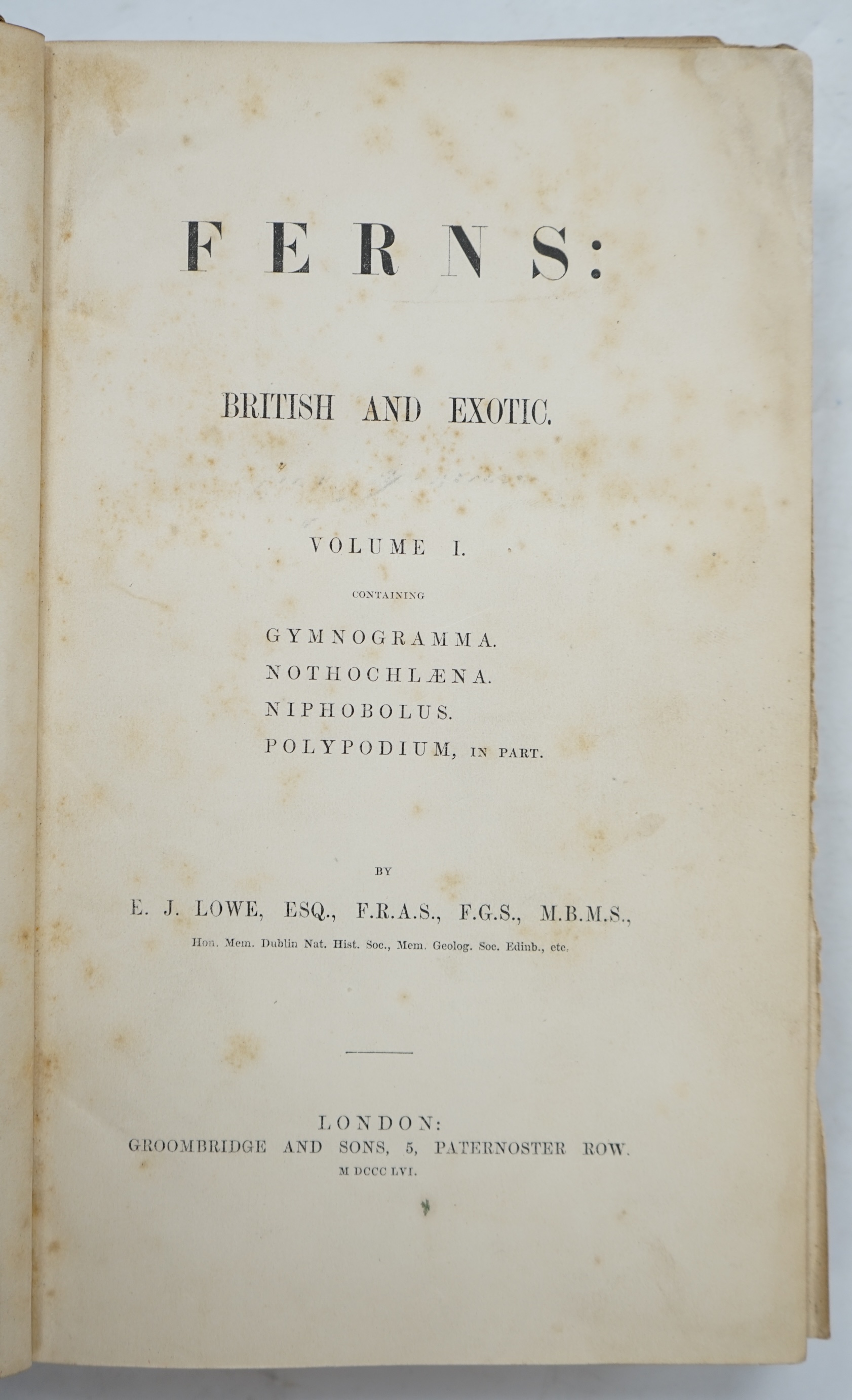 Lowe, Edward Joseph - Ferns: British and Exotic, 8 volumes, 1st edition, 8vo, half calf, scuffed and with some loss to the leather, 479 chromolithograph plates, Groombridge and Sons, London, 1856-60.